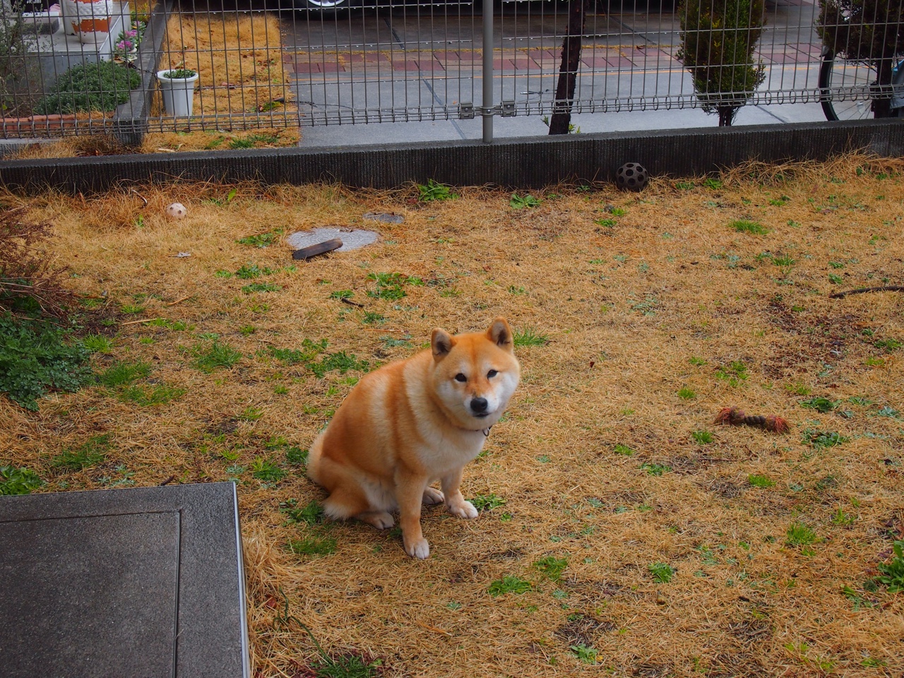 战б胜兵阵劲爆战况,全主将阵互相辉映,战兵什么意思