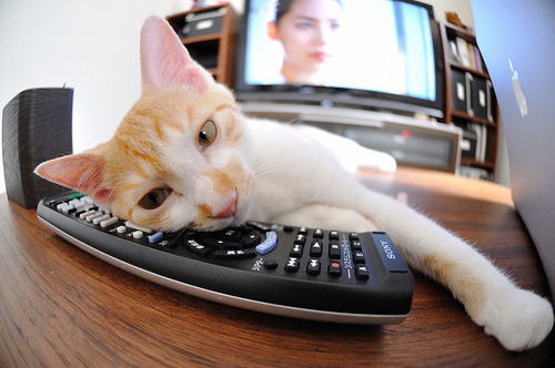 NBA赛季抢断王球员盘点,nba抢断王历届