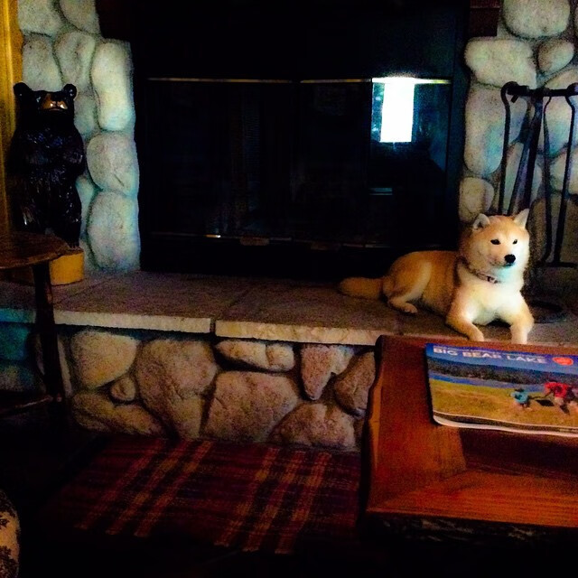 爱游戏在线登录入口-全国男子赛艇冠军赛江苏独揽三冠，中国男子赛艇运动员