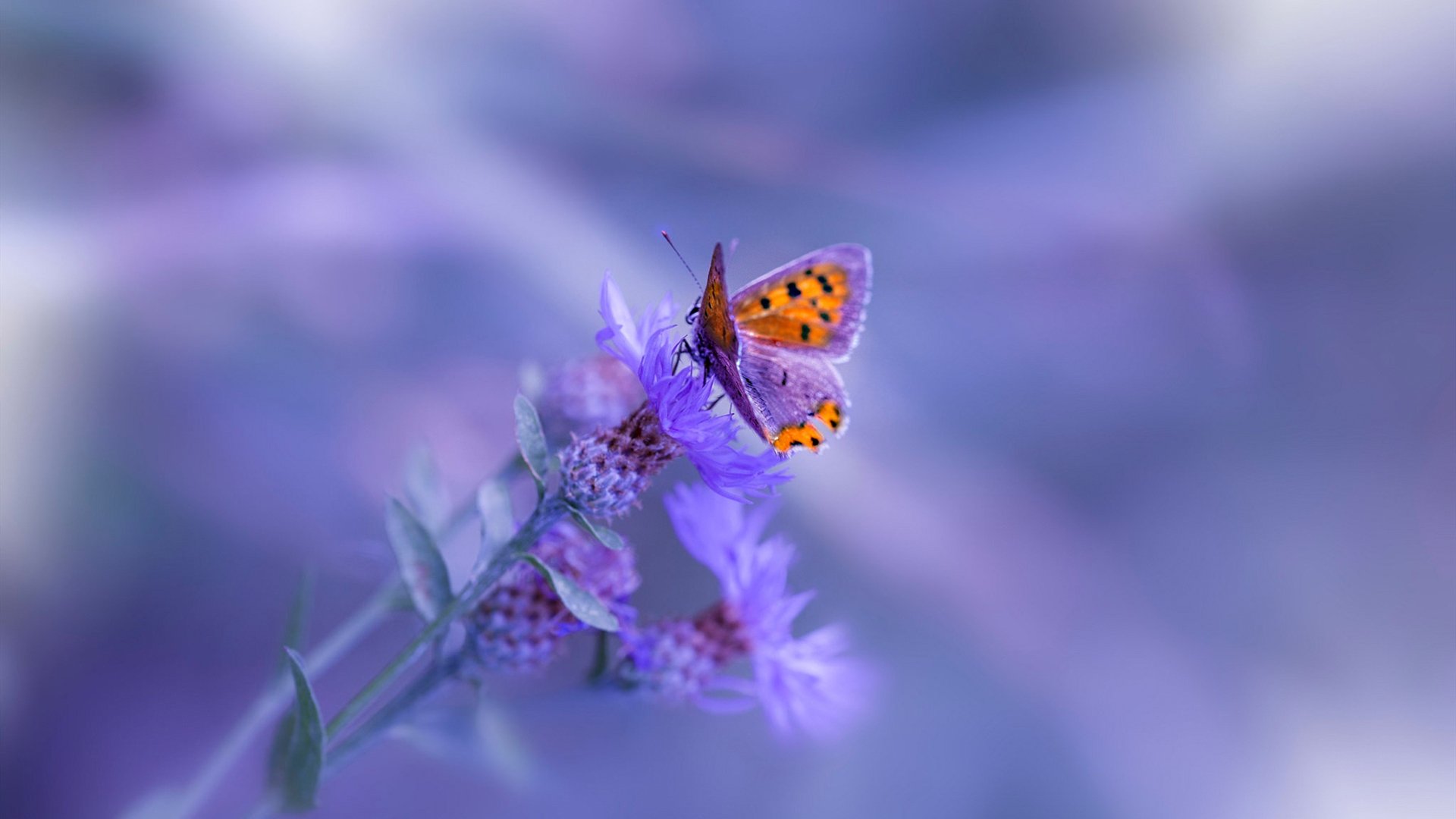 新闻中心重点园区开工建设进展顺利,园区新闻稿