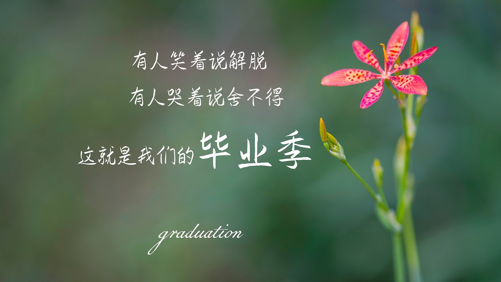 爱游戏在线登录入口-高校运动员心理调节干预策略及效果评估，如何做好运动员的心理调试