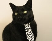 “天府新区沙滩合球赛场,极限运动新选择”