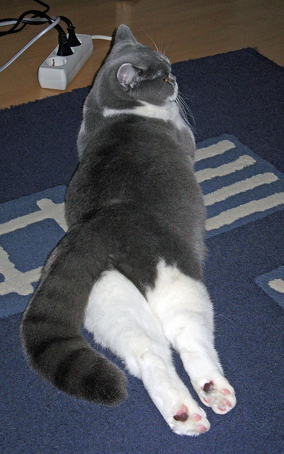 中国男篮强化终结能力提升攻坚水平,中国男篮晋级