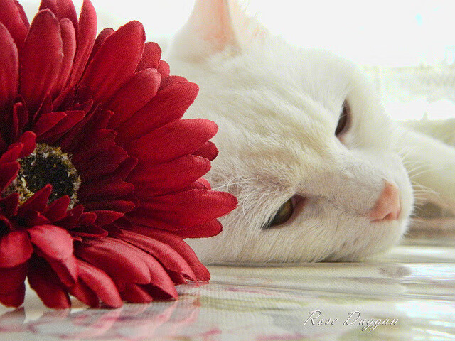 爱游戏平台-中小学体育改革注重学生身体素质，中小学体育改革的情况