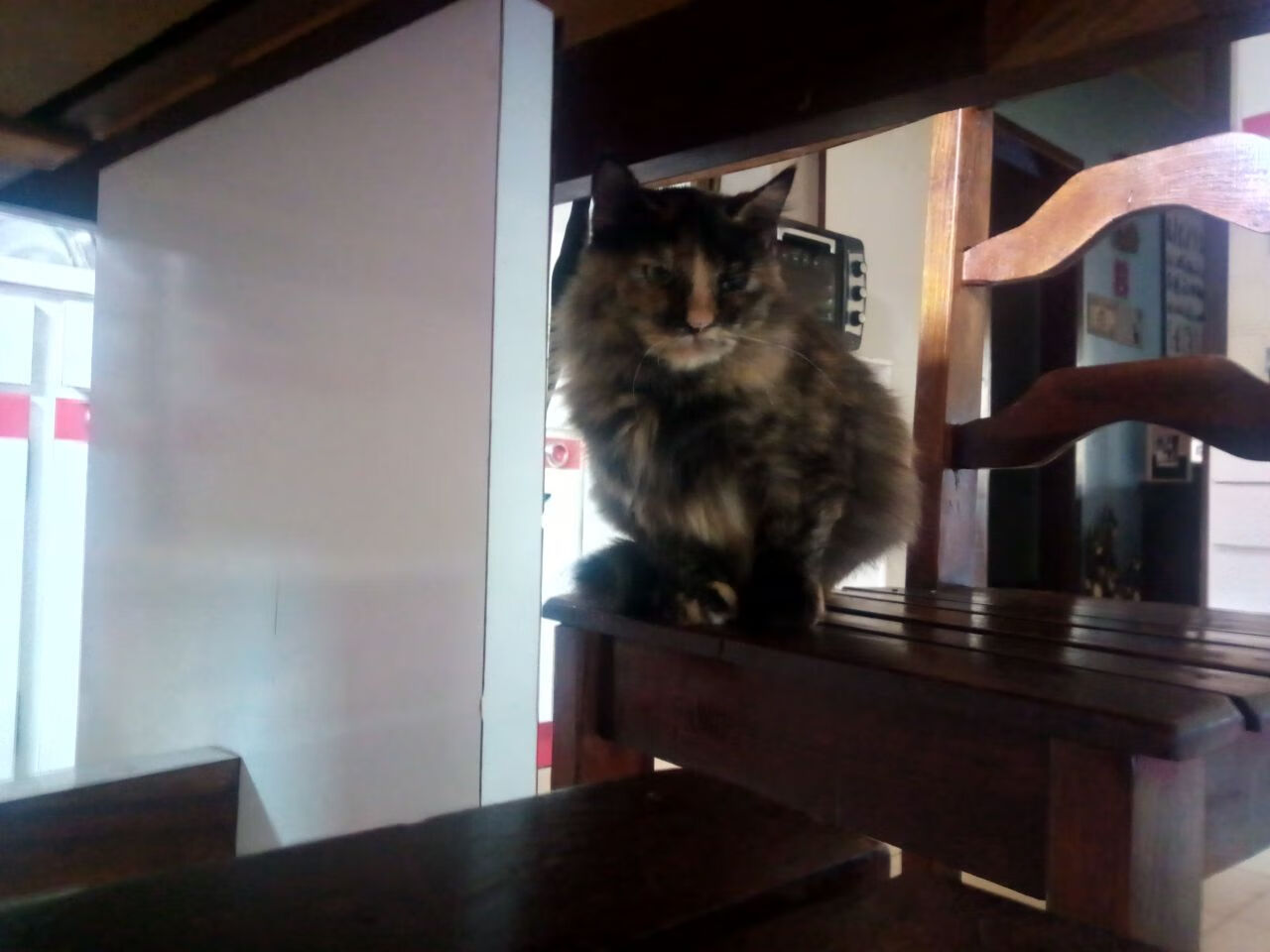 广东队通过高位挡拆频繁制造得分机会,广东队战术集锦