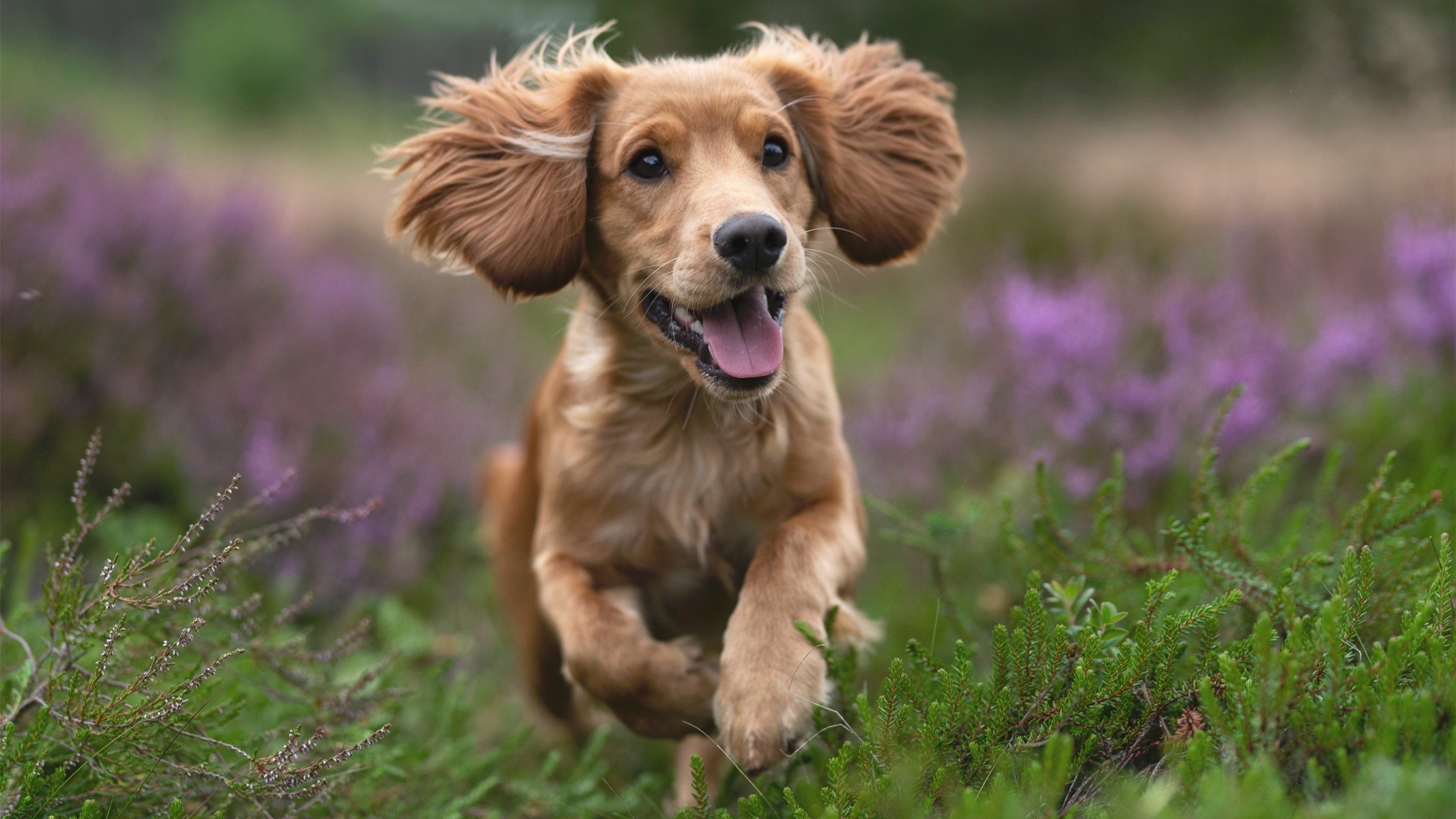 球员抢断后处理球的选择影响快攻效率,抢断球可以回线吗