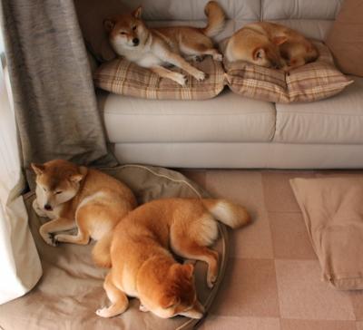 爱游戏app下载-球队战术板中是否更倾向构建中心向外疏导进攻方式，篮球战术板应用