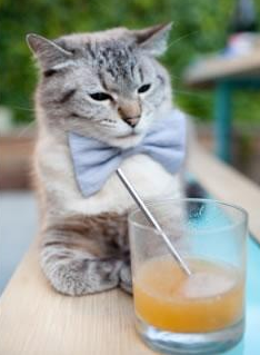 AYX官网-中国男子接力决赛发挥稳健赢得喝彩，中国男子接力比赛4×100决赛时间