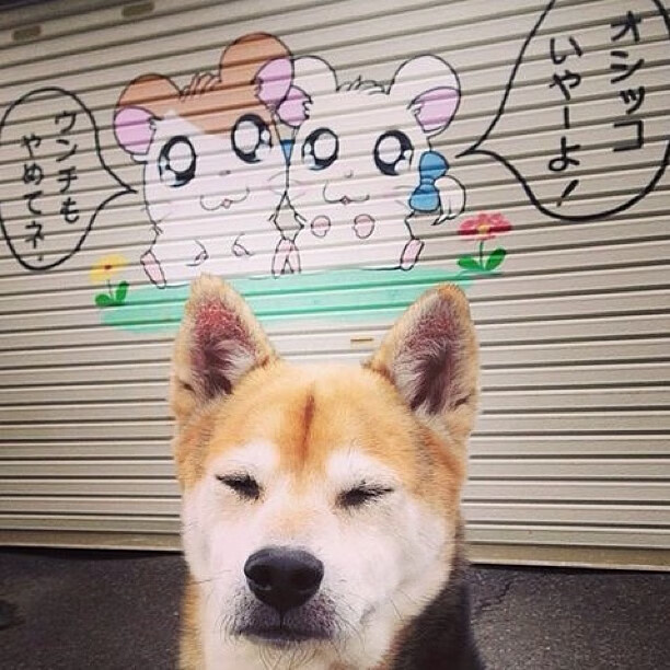 加纳男篮在非洲锦标赛中表现亮眼,争夺奖牌