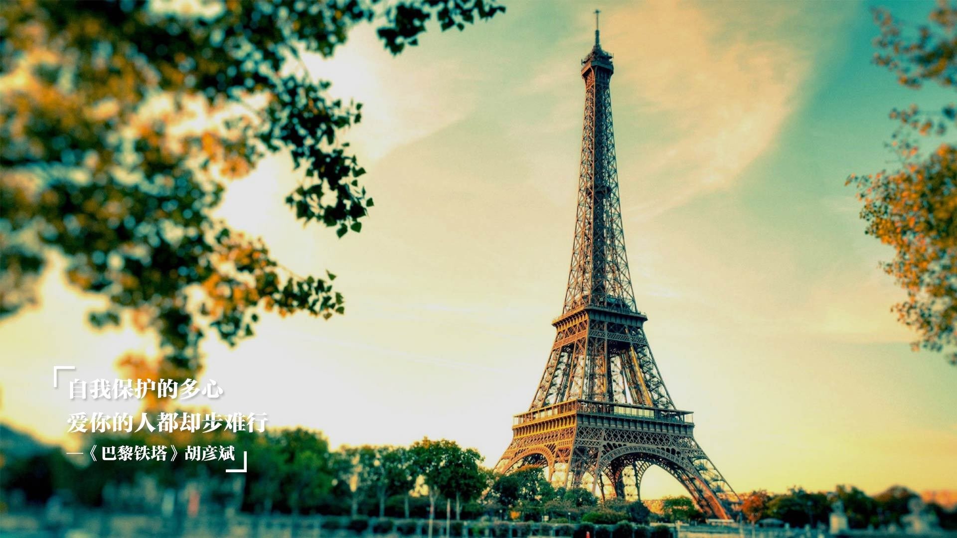 哪支橄榄球队拥有最多关注度?,橄榄球队人数最多