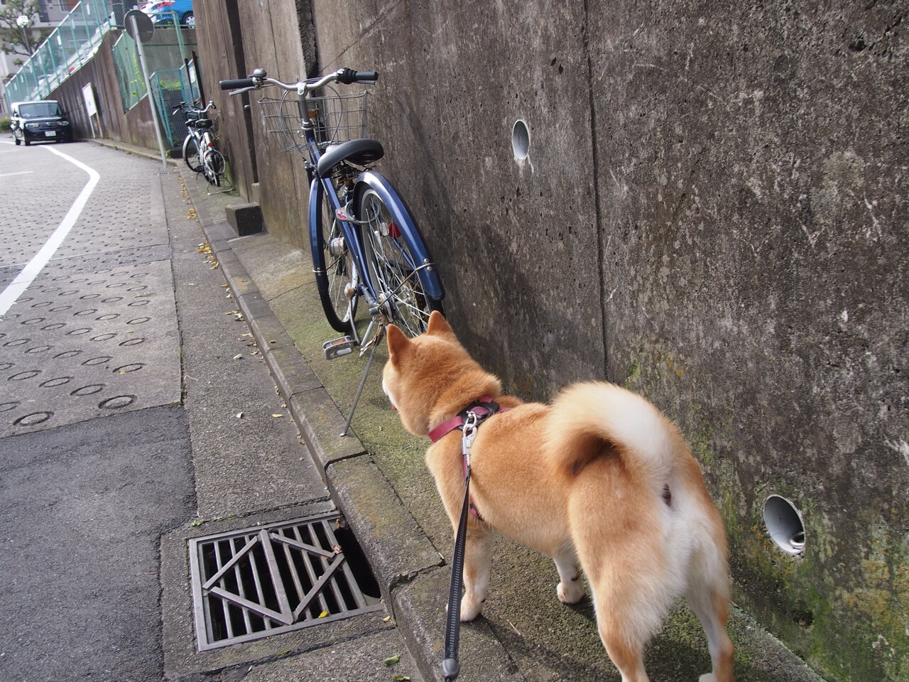 技术动作数据优化与选手表现提升,技术动作是什么