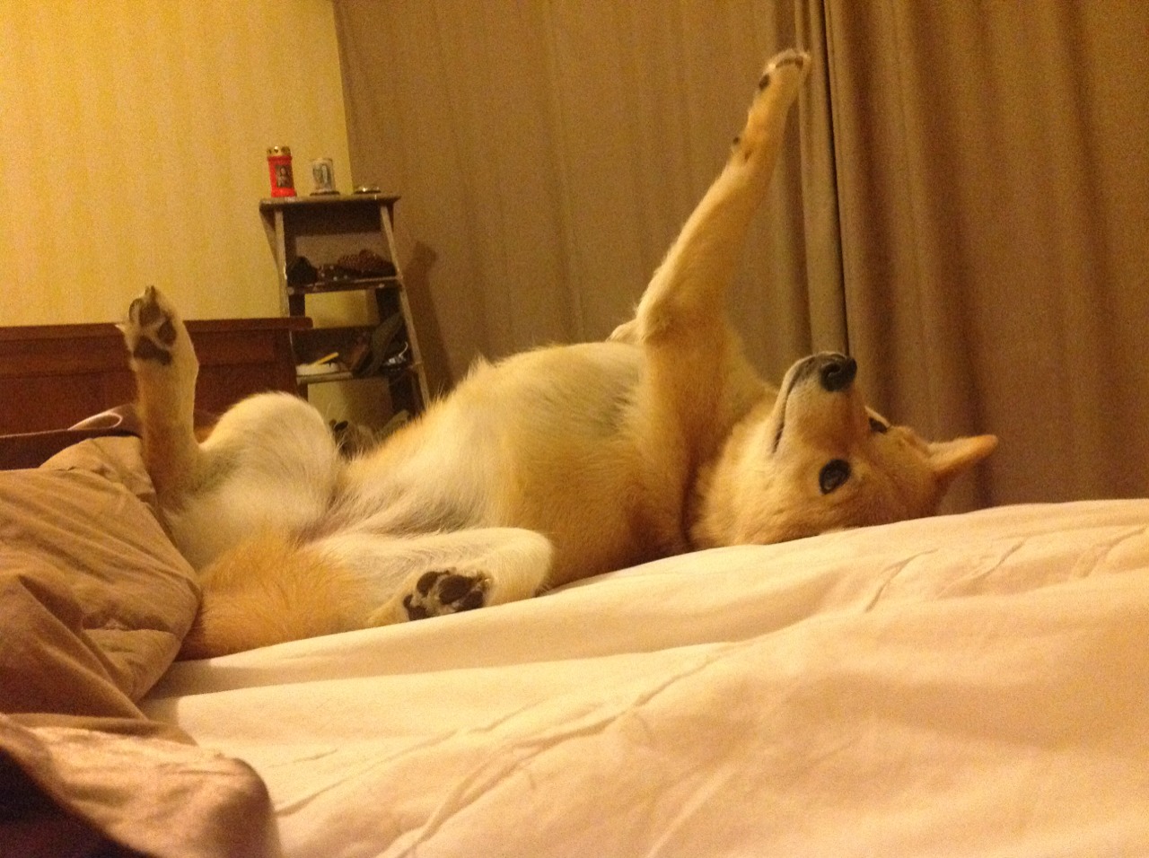 英超激情保级战:拼搏到底,永不言弃,英超 保级