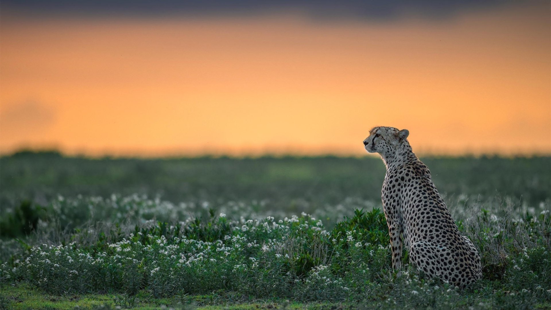 爱游戏官方-跨国足球交流活动频繁，促进国际合作，跨国足球交流活动频繁,促进国际合作发展